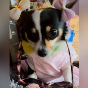 Trade Elizabeth 💖